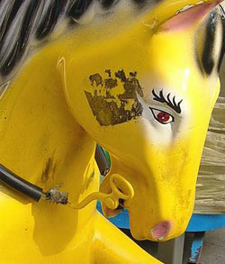 Photo by A. Fluffy Bunny